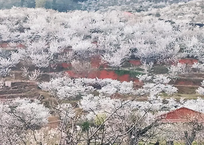Rurales El Rincón Del Jerte Apartamento Rebollar (Caceres)